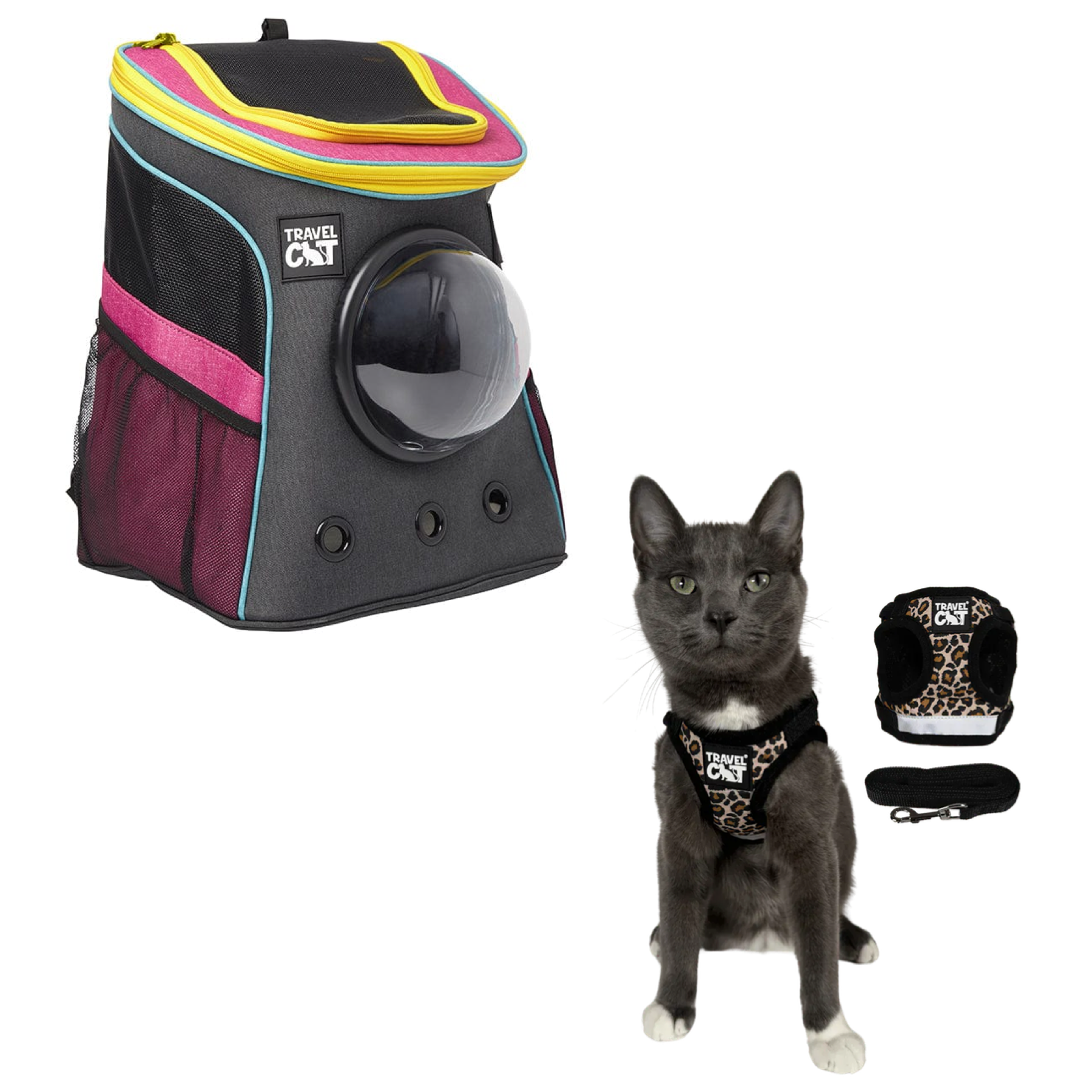 stray_backpack_7d14a9f6-1122-47d4-a025-3c627084d396__cheeta_1.png