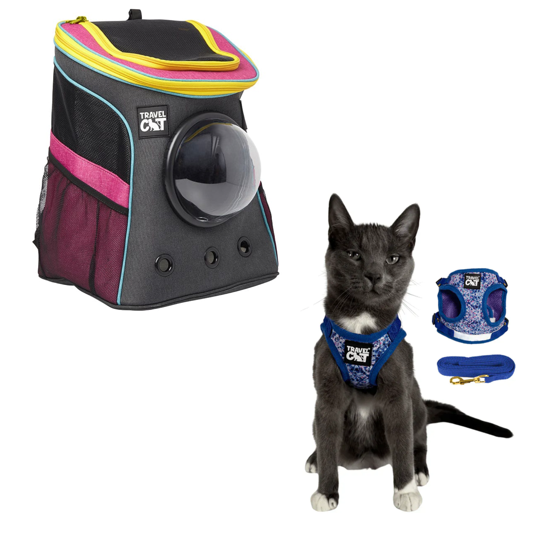 stray_backpack_7d14a9f6-1122-47d4-a025-3c627084d396__groovy_1.png