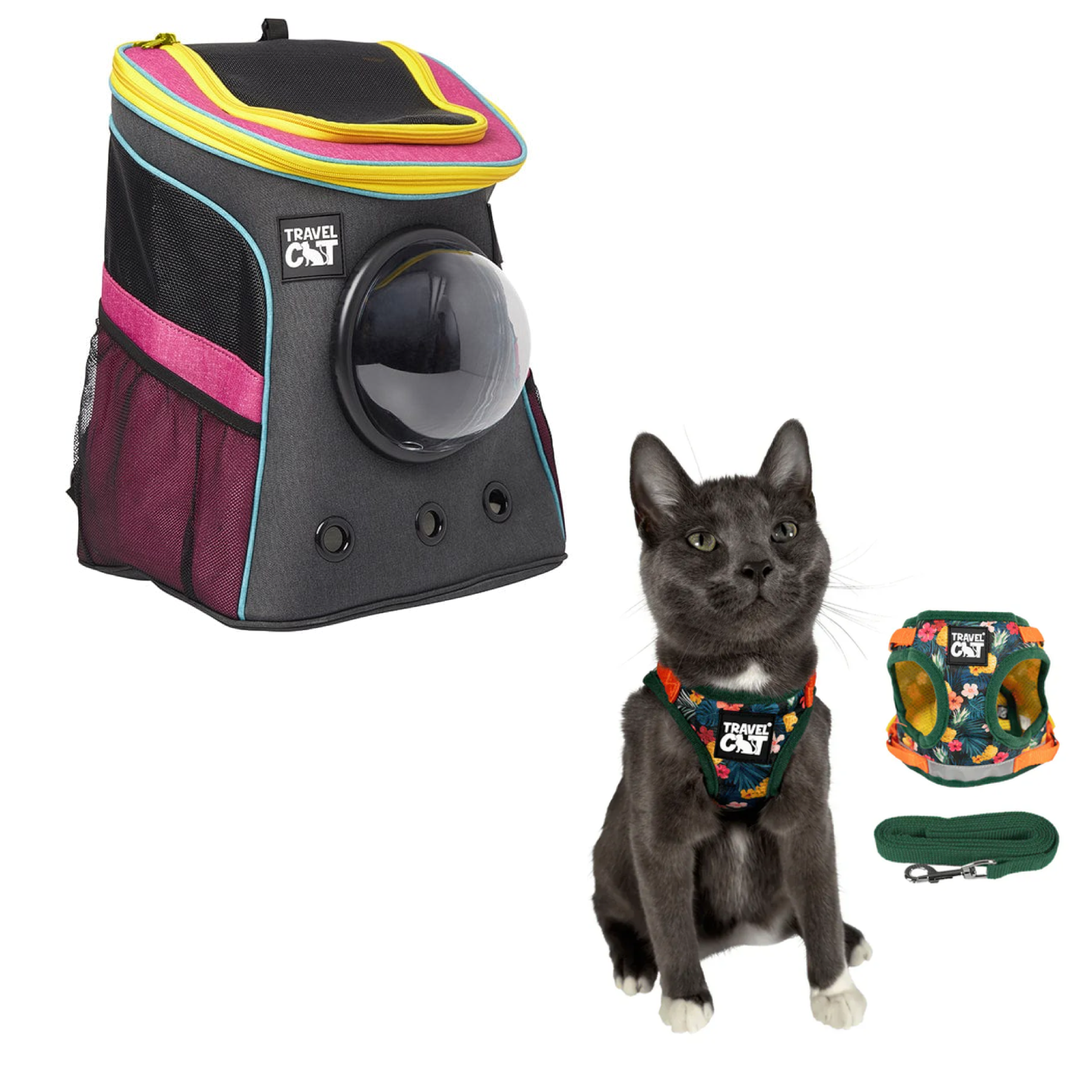 stray_backpack_7d14a9f6-1122-47d4-a025-3c627084d396__hawaiian_1.png