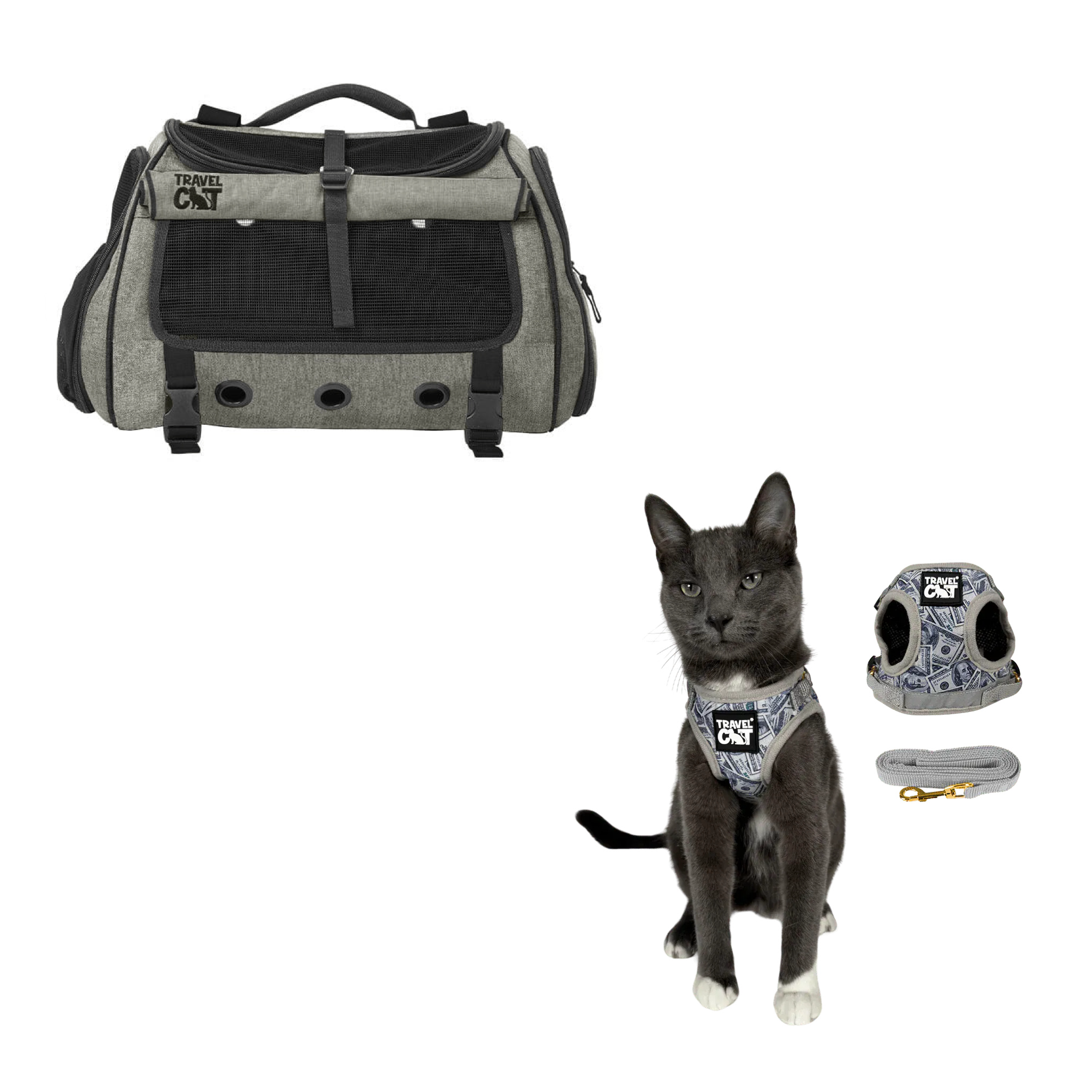 transpurrter_heather_black__cash_cat.png