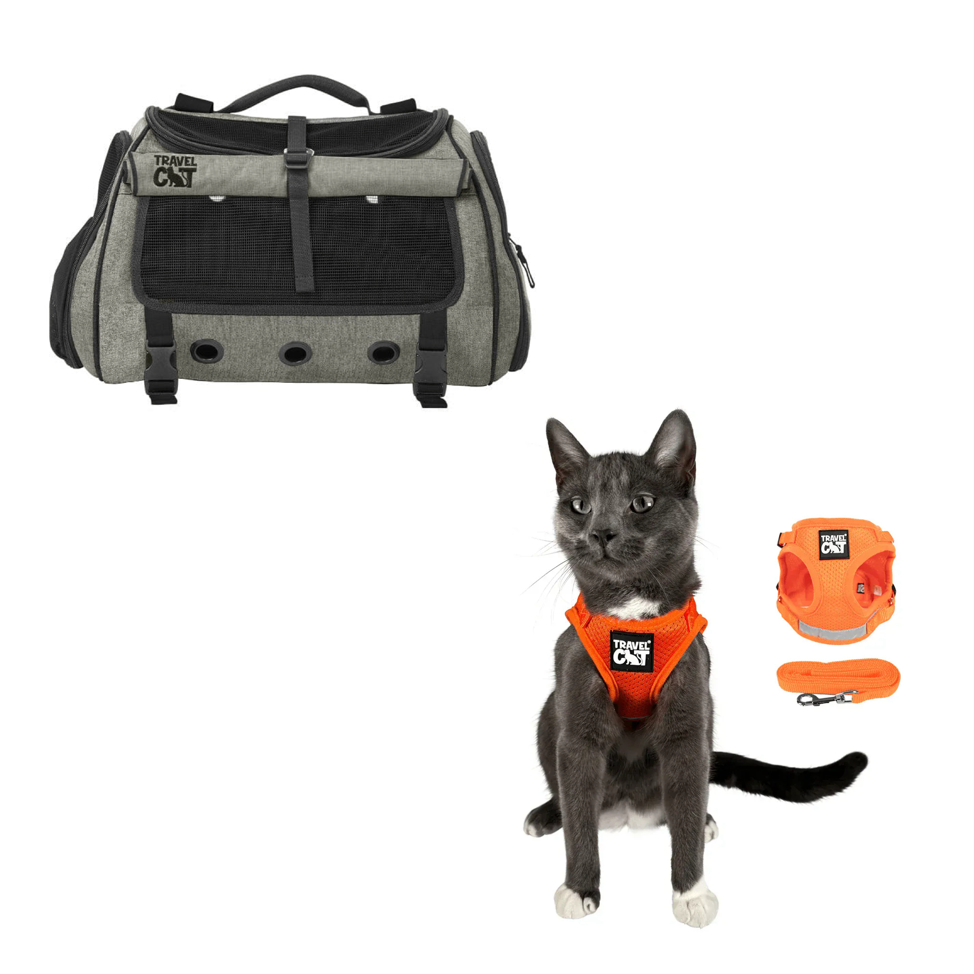 transpurrter_heather_black__orange_1.png