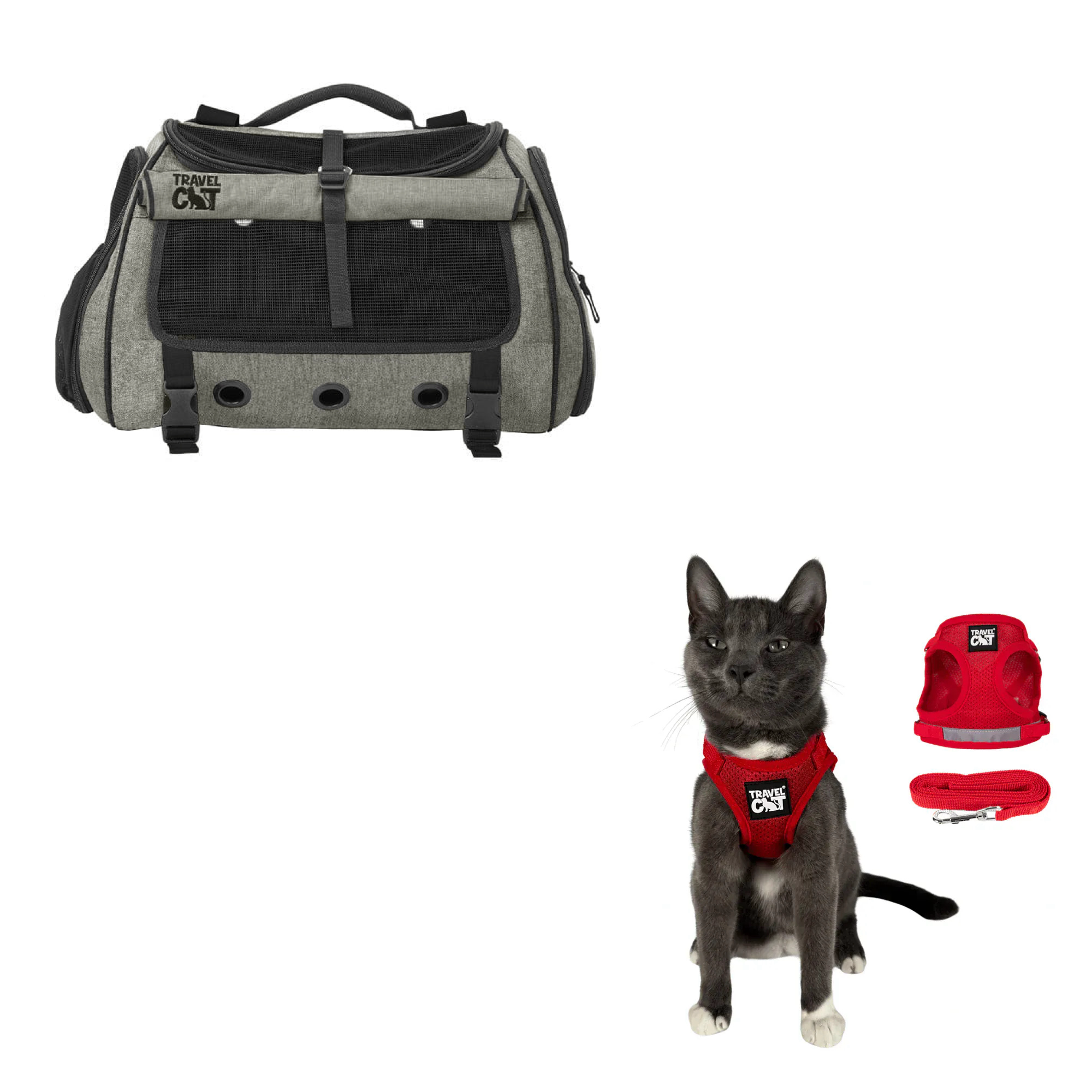 transpurrter_heather_black__red_1.png