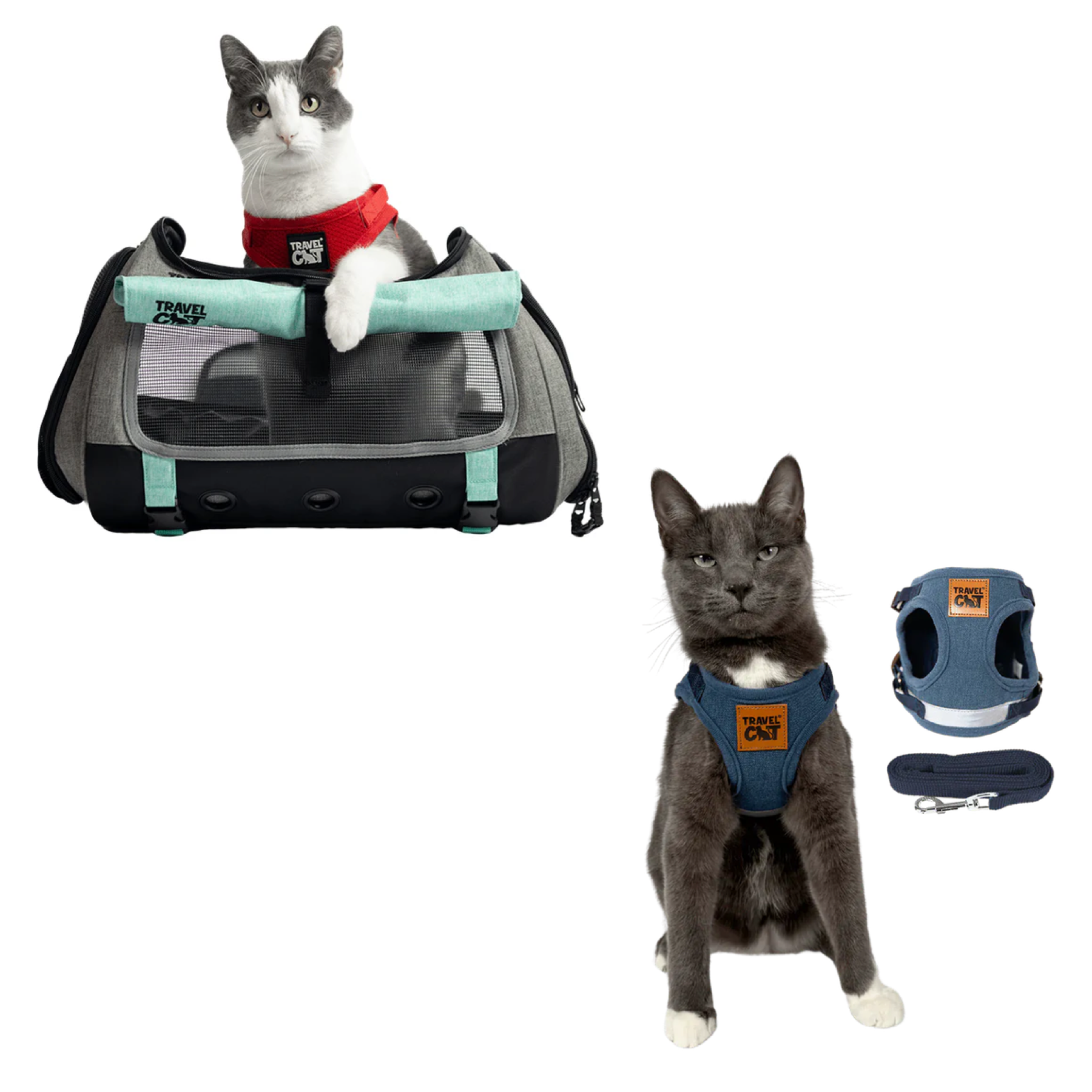 transpurrter_teal_7976867b-e278-4a3c-9a5d-fdd063e81e28__denim_1.png
