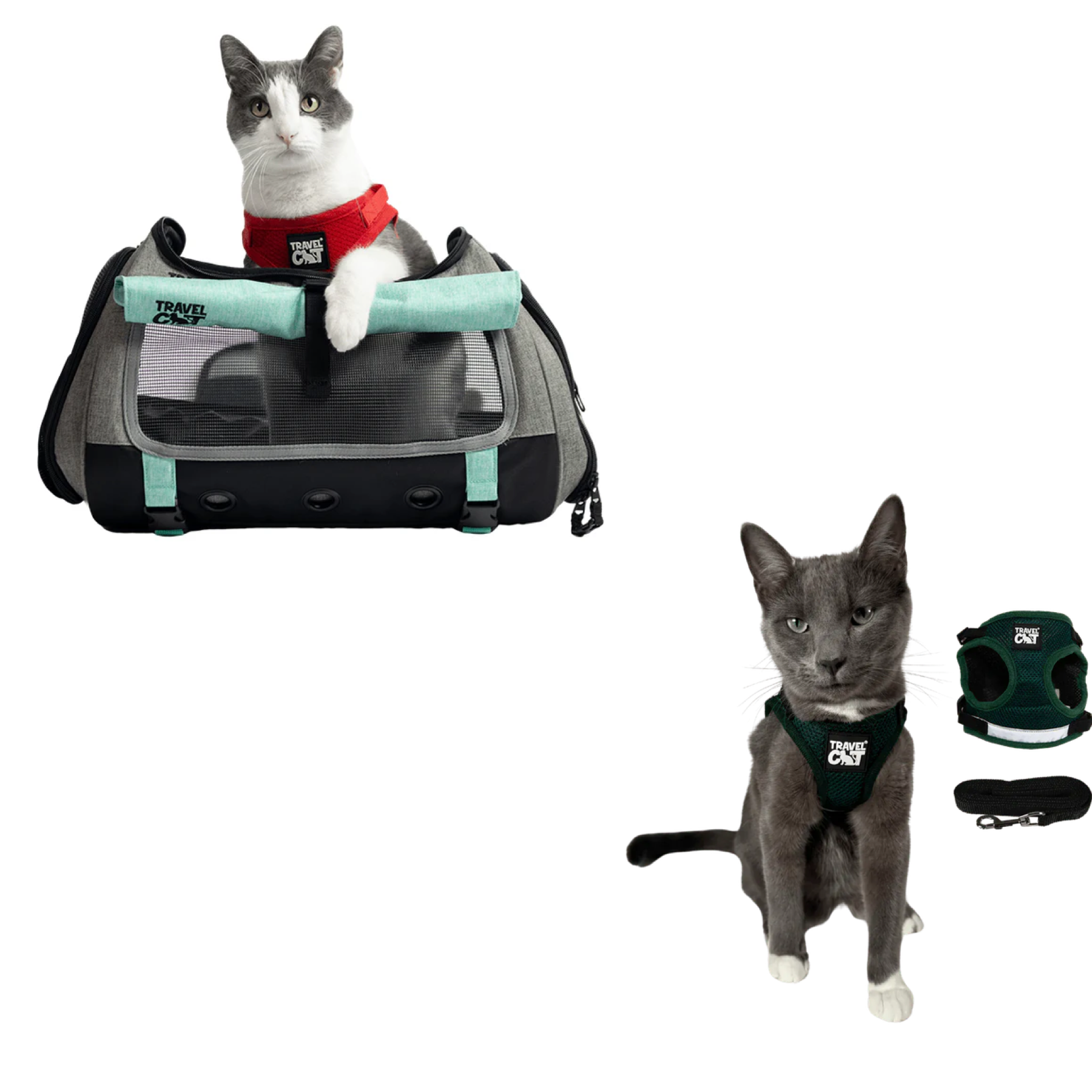 transpurrter_teal_7976867b-e278-4a3c-9a5d-fdd063e81e28__emerald_1.png