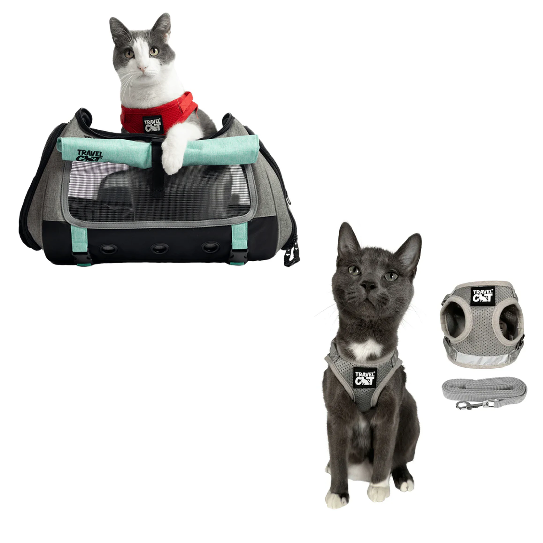 transpurrter_teal_7976867b-e278-4a3c-9a5d-fdd063e81e28__grey_1.png