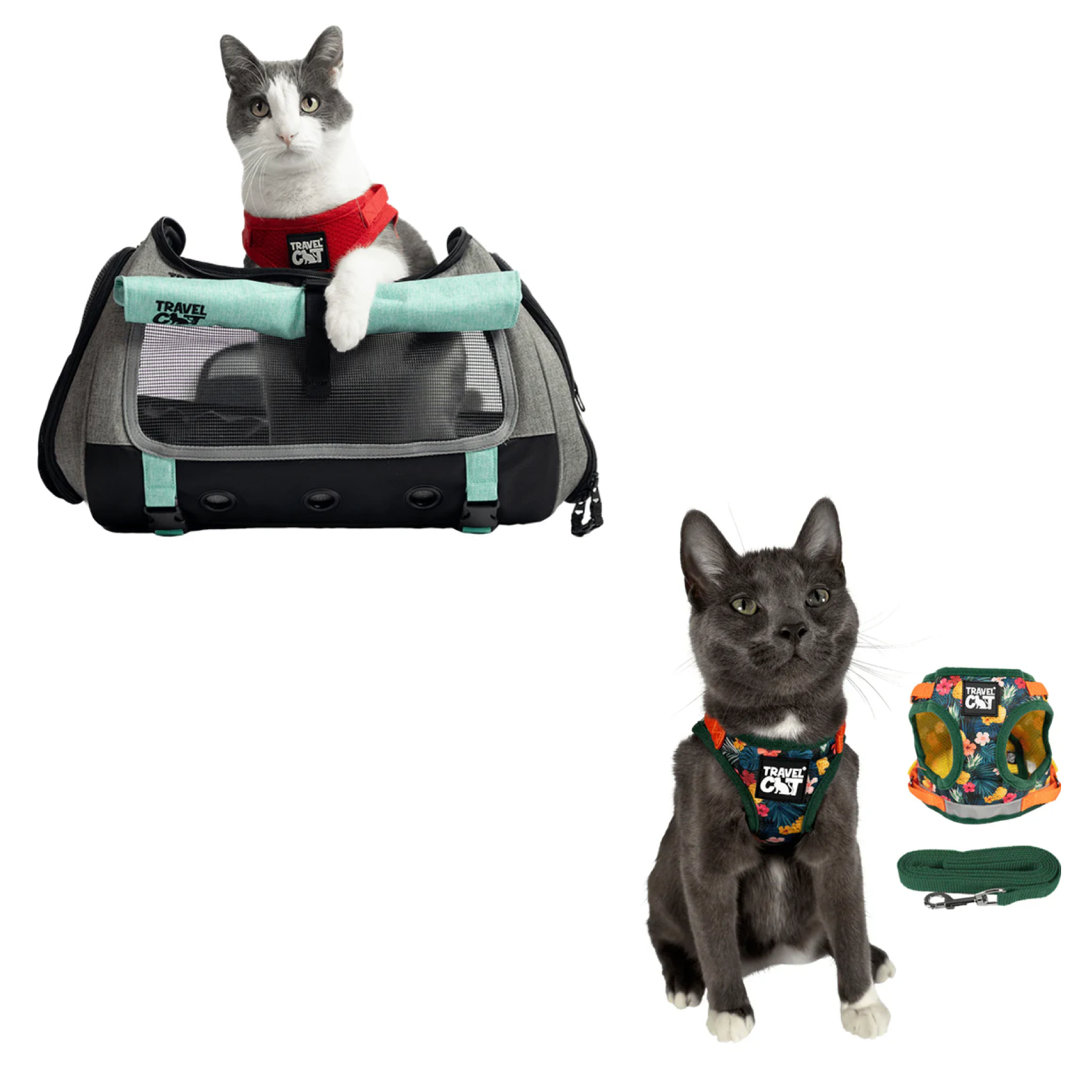 transpurrter_teal_7976867b-e278-4a3c-9a5d-fdd063e81e28__hawaiian_1.png