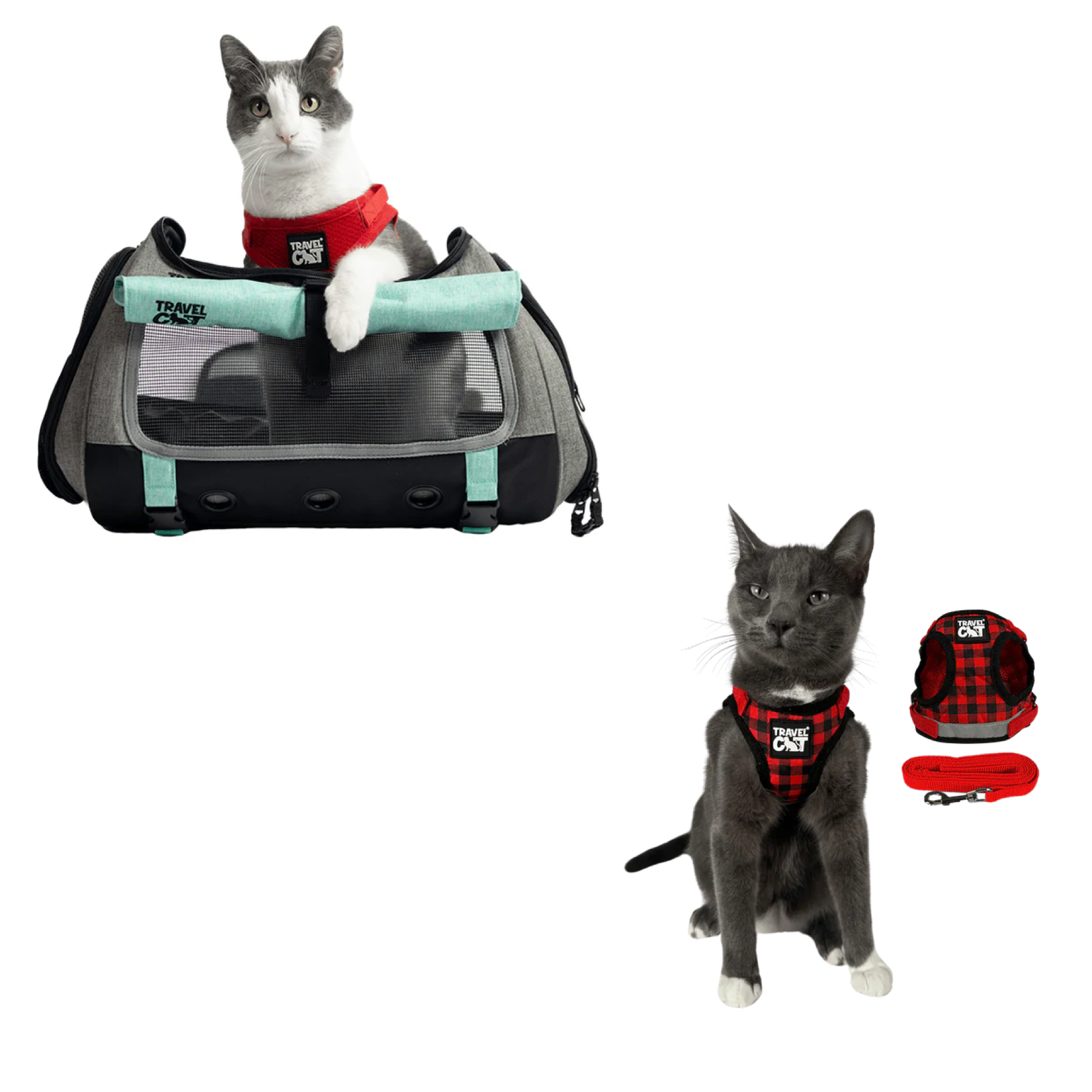 transpurrter_teal_7976867b-e278-4a3c-9a5d-fdd063e81e28__plaid_1.png